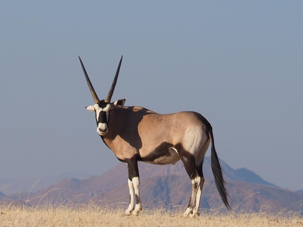 Namibia