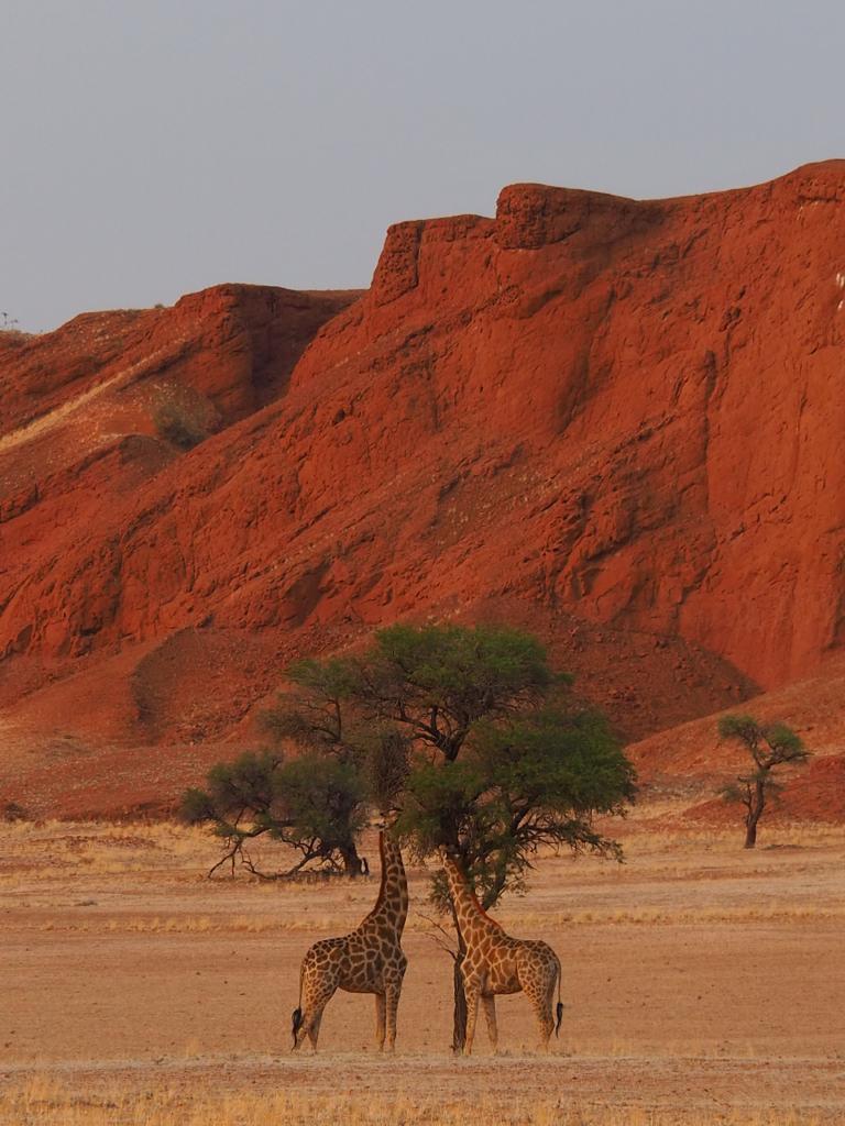 Namibia