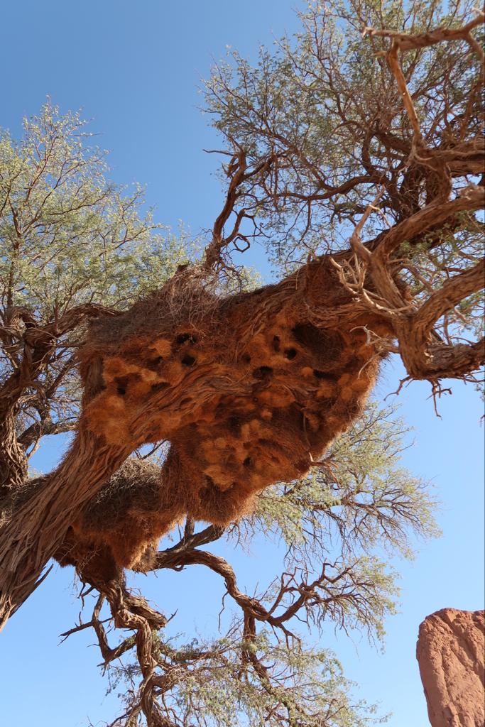 Namibia